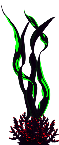 Algas de fundo animadas